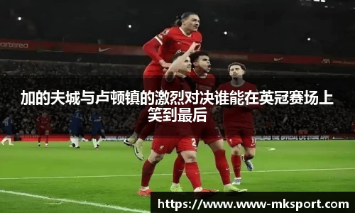 MK体育登录入口